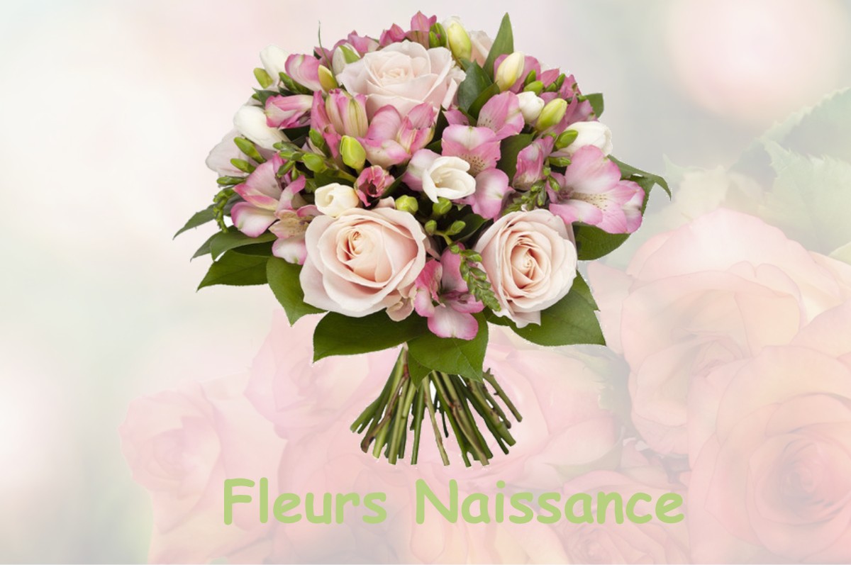 fleurs naissance NOYANT-DE-TOURAINE