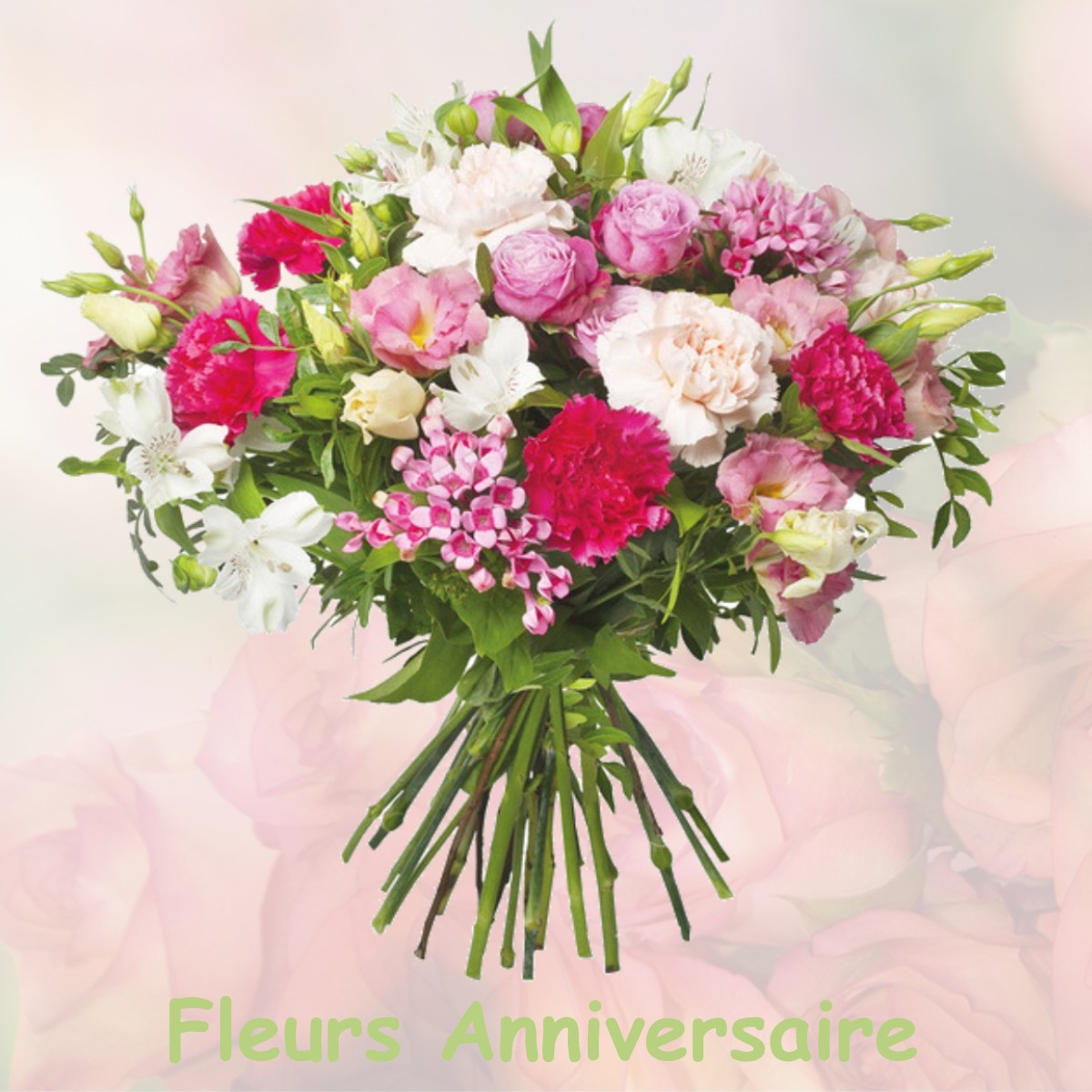 fleurs anniversaire NOYANT-DE-TOURAINE
